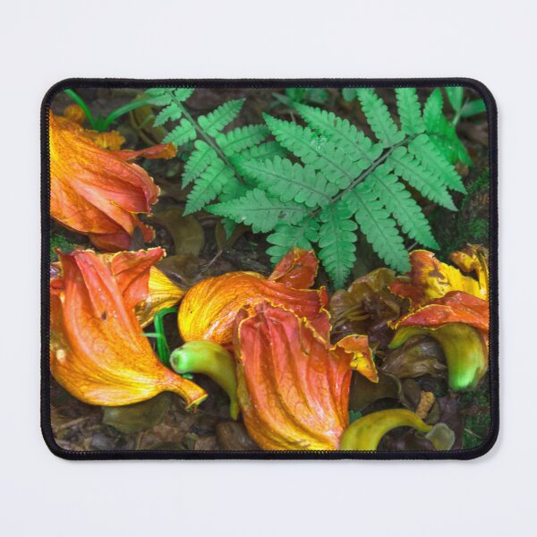 Item preview, Lent flower 2. designed and sold by Nino rocha fotografia.