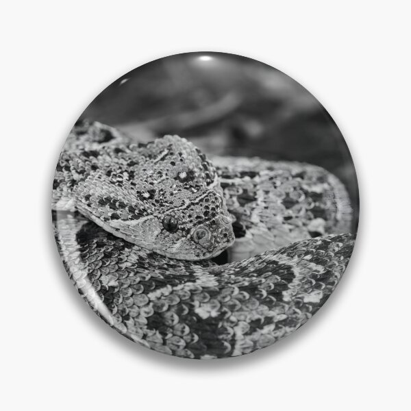 Item preview, Puff Adder (Bitis arietans) designed and sold by Pixel Press Prints.
