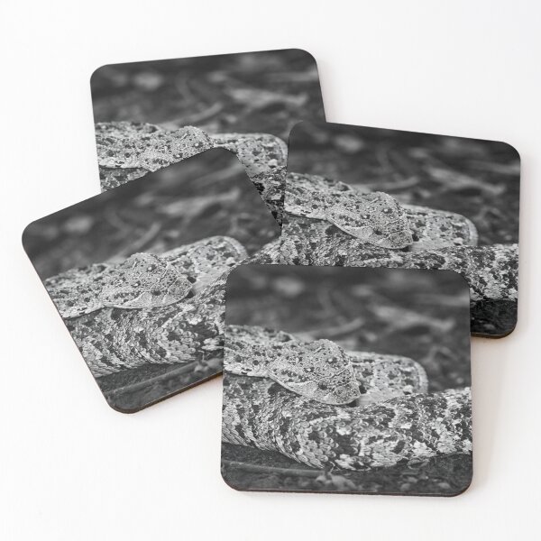 Item preview, Puff Adder (Bitis arietans) designed and sold by Pixel Press Prints.
