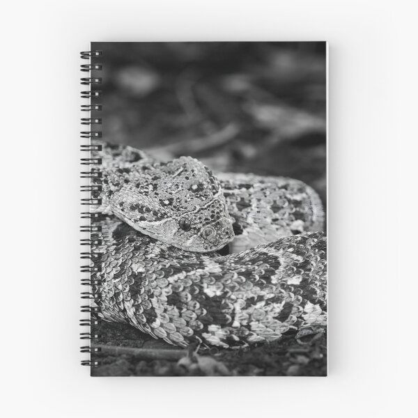 Item preview, Puff Adder (Bitis arietans) designed and sold by Pixel Press Prints.