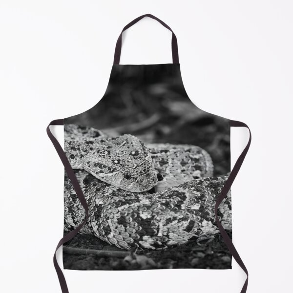Item preview, Puff Adder (Bitis arietans) designed and sold by Pixel Press Prints.