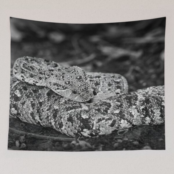 Item preview, Puff Adder (Bitis arietans) designed and sold by Pixel Press Prints.