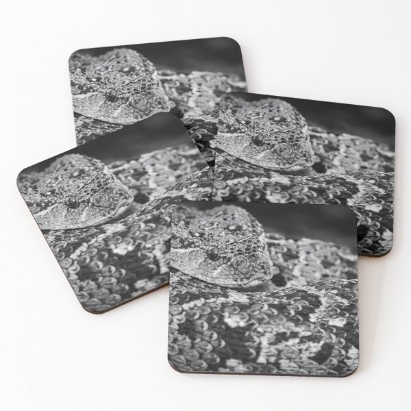 Item preview, Puff Adder (Bitis arietans) designed and sold by Pixel Press Prints.