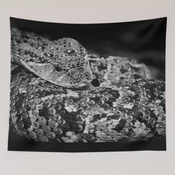 Item preview, Puff Adder (Bitis arietans) designed and sold by Pixel Press Prints.