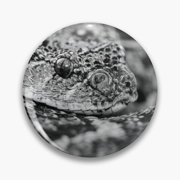 Item preview, Puff Adder (Bitis arietans) designed and sold by Pixel Press Prints.