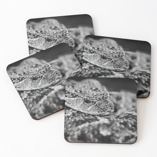 Item preview, Puff Adder (Bitis arietans) designed and sold by Pixel Press Prints.