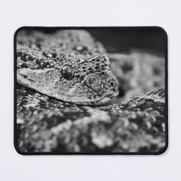 Item preview, Puff Adder (Bitis arietans) designed and sold by Pixel Press Prints.