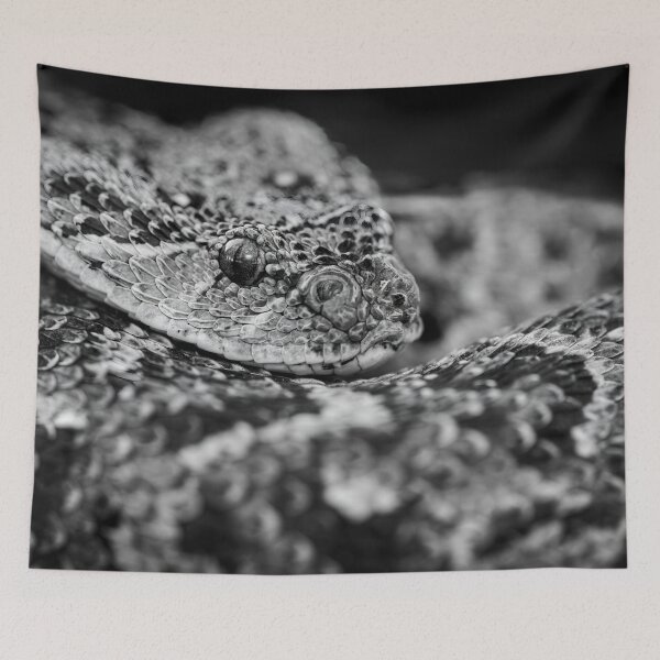 Item preview, Puff Adder (Bitis arietans) designed and sold by Pixel Press Prints.