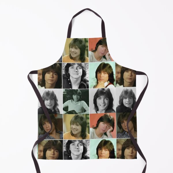 Item preview, David Cassidy Collage designed and sold by sarzerdesigns.