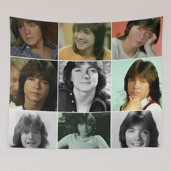 Item preview, David Cassidy Collage designed and sold by sarzerdesigns.