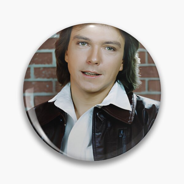 Item preview, David Cassidy  designed and sold by sarzerdesigns.