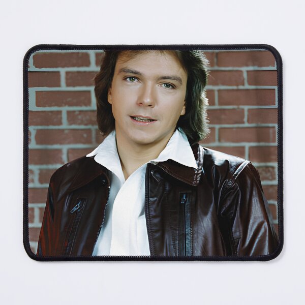 Item preview, David Cassidy  designed and sold by sarzerdesigns.