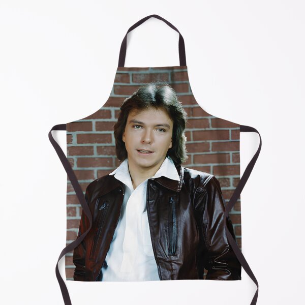 Artikelvorschau, David Cassidy entworfen und verkauft von sarzerdesigns.