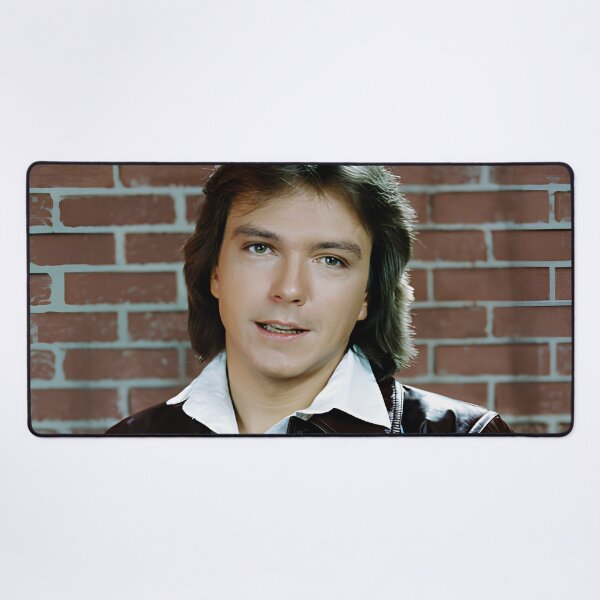 Item preview, David Cassidy  designed and sold by sarzerdesigns.