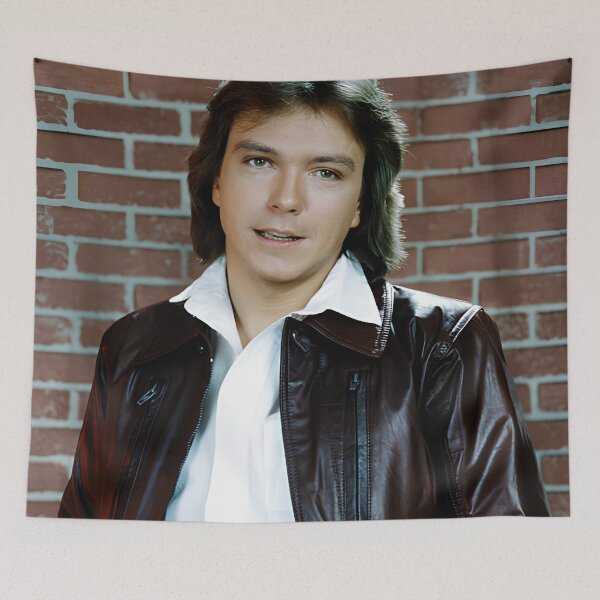 Item preview, David Cassidy  designed and sold by sarzerdesigns.