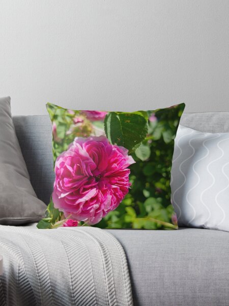 Item preview, Closeup of a Peony Blossom designed and sold by Quincy-Hedgehog.