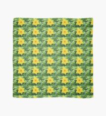 Daffodil Scarf