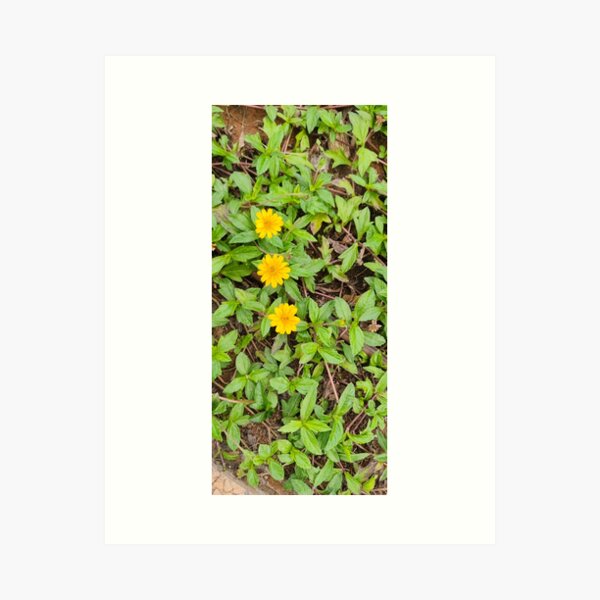 Aperçu de l'œuvre Fleurs créée et vendue par Kaydershiba.