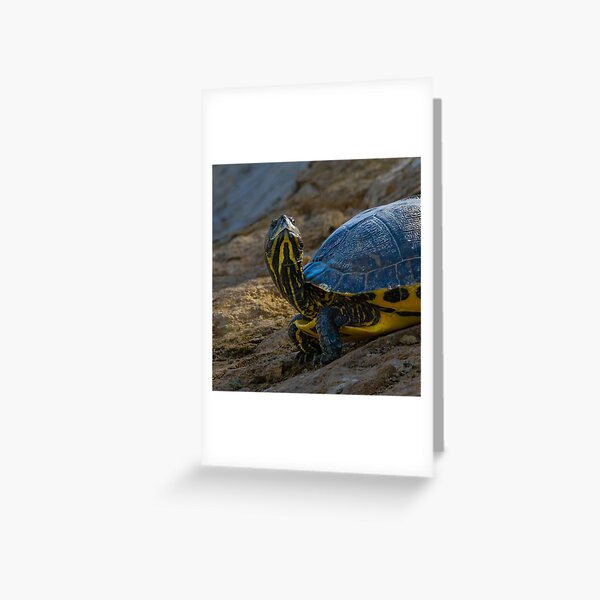 'Sup Dude Greeting Card