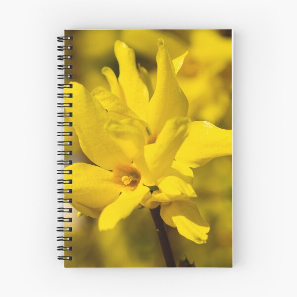 Item preview, Yellow splendour designed and sold by jchanders.