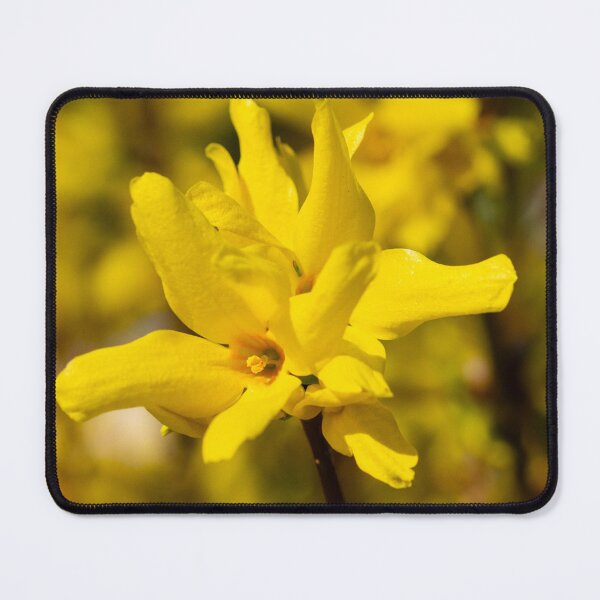 Item preview, Yellow splendour designed and sold by jchanders.