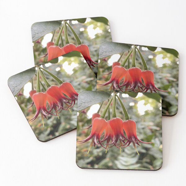 Item preview, Translucent Tropical Flowers designed and sold by Bud, Blossom & Bloom.
