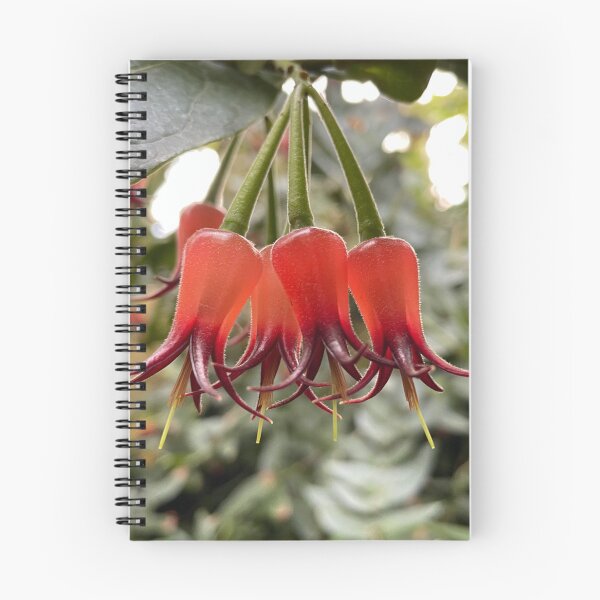 Item preview, Translucent Tropical Flowers designed and sold by Bud, Blossom & Bloom.