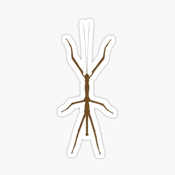Item preview, Stick Insect | The Camouflaged Walker of the Forest designed and sold by KiValuate.