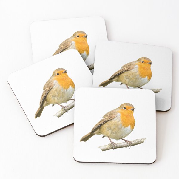 Item preview, Robin Placement Print designed and sold by Jane Stanley Photography.