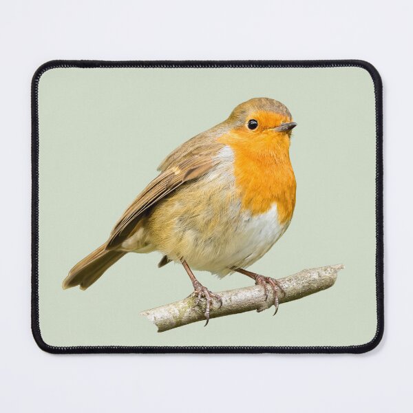 Item preview, Robin Placement Print designed and sold by Jane Stanley Photography.