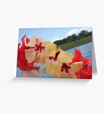 When in Panamà ... Greeting Card