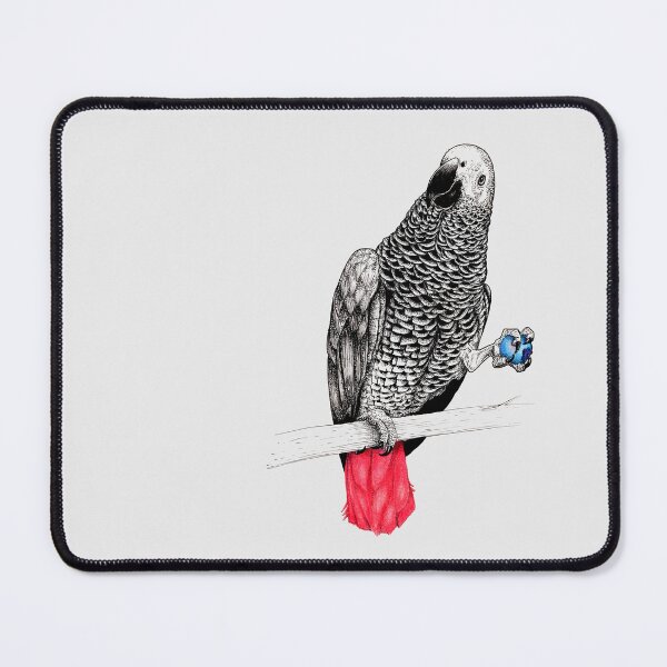 Item preview, African Grey Parrot eating blueberry designed and sold by Rômulo Queiroz.