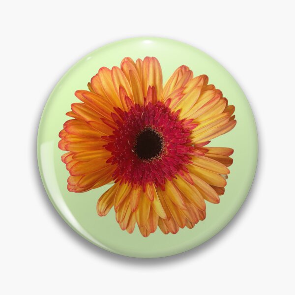 Item preview, Orange daisy  designed and sold by Lauracolleen3.