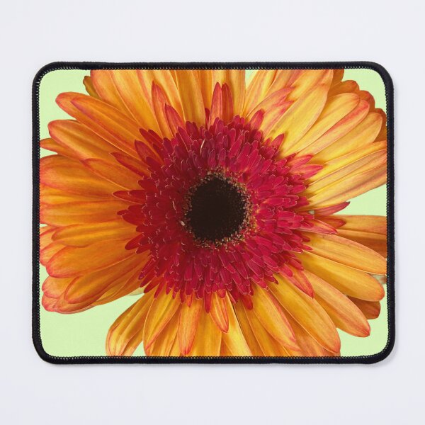 Item preview, Orange daisy  designed and sold by Lauracolleen3.