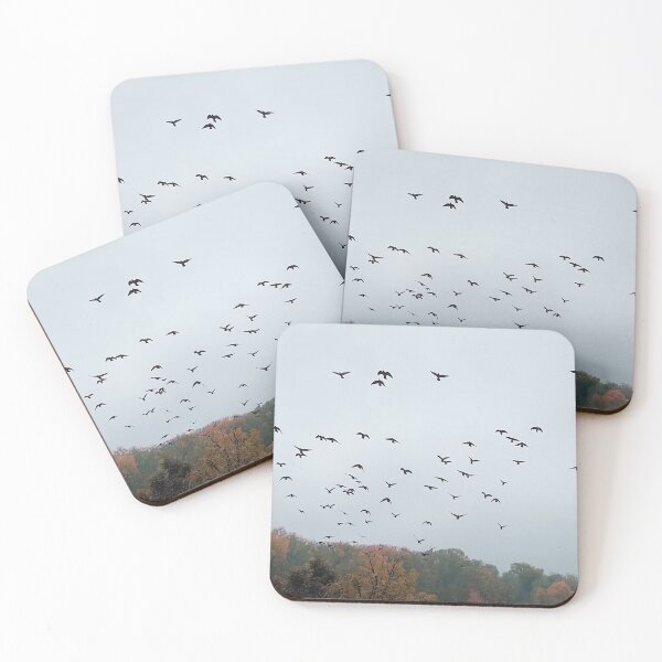 Item preview, Flock of birds designed and sold by psychoshadow.