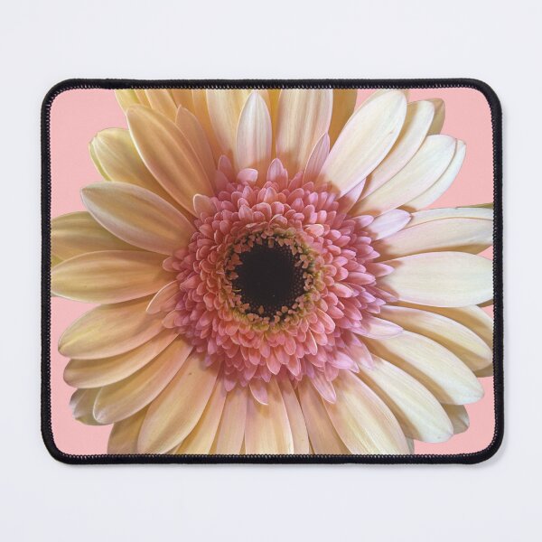 Item preview, Pinkish daisy designed and sold by Lauracolleen3.