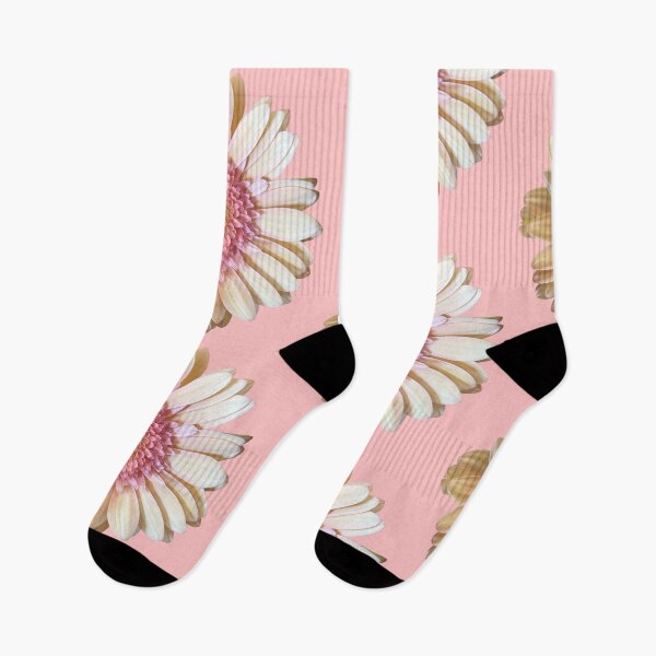 Item preview, Pinkish daisy  designed and sold by Lauracolleen3.