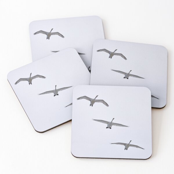 Item preview, Whooper swan 3x designed and sold by Jouko Lehto Photography.