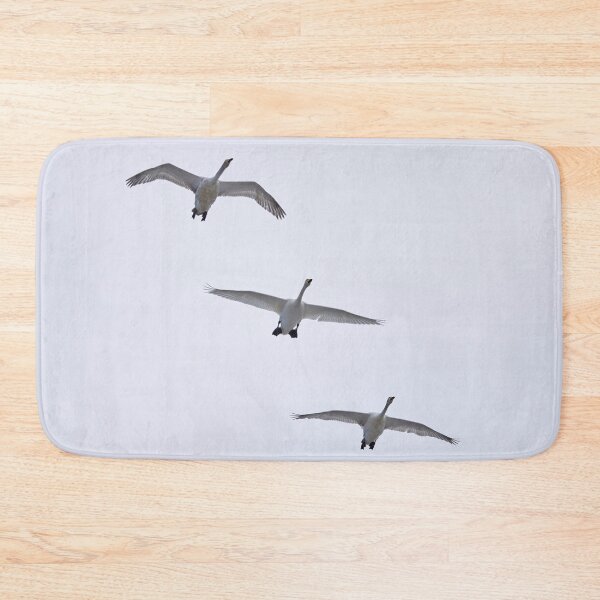 Item preview, Whooper swan 3x designed and sold by Jouko Lehto Photography.