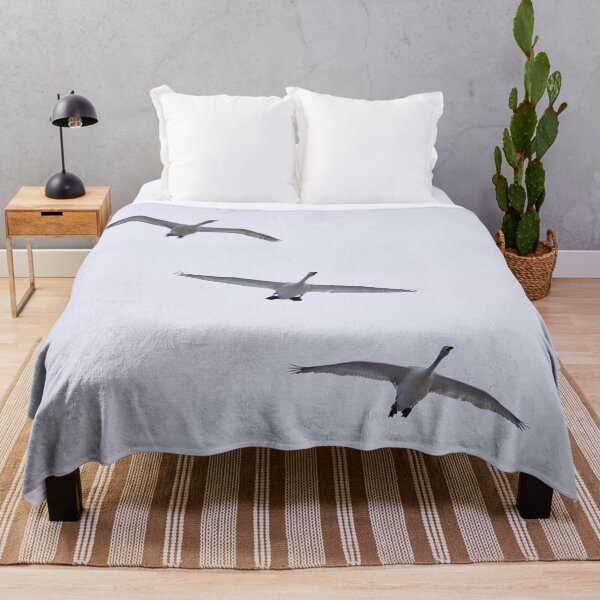 Item preview, Whooper swan 3x designed and sold by Jouko Lehto Photography.