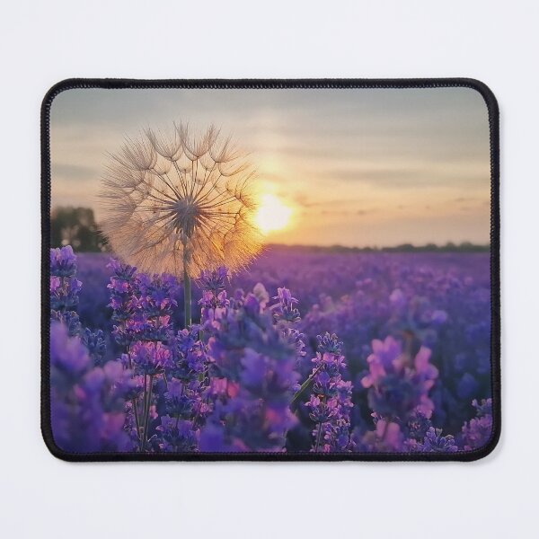 Item preview, fluffy dandelion at sunset designed and sold by psychoshadow.