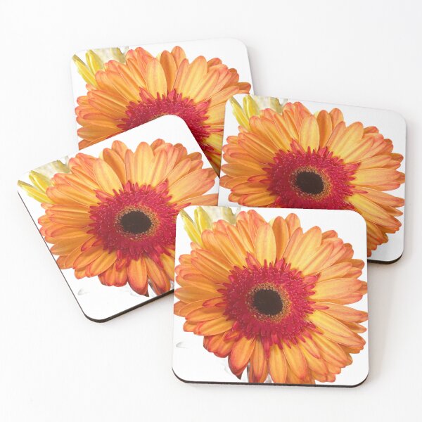 Item preview, Orange daisy  designed and sold by Lauracolleen3.