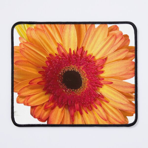 Item preview, Orange daisy  designed and sold by Lauracolleen3.
