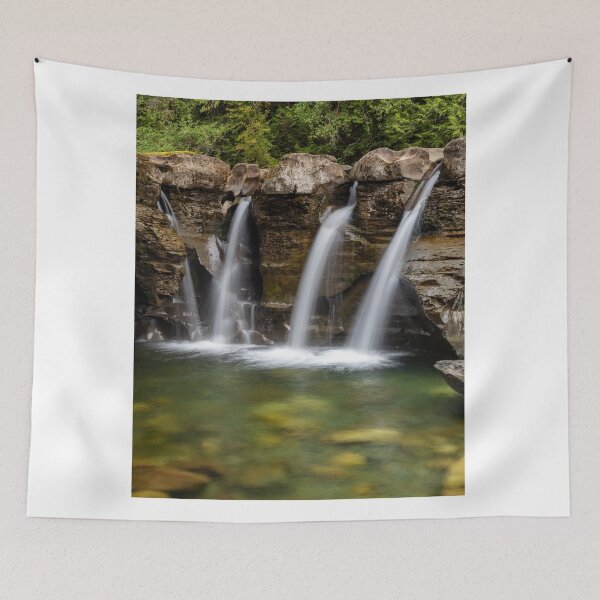 Item preview, Browns River Falls Vancouver Island designed and sold by LarsOlofPhoto.