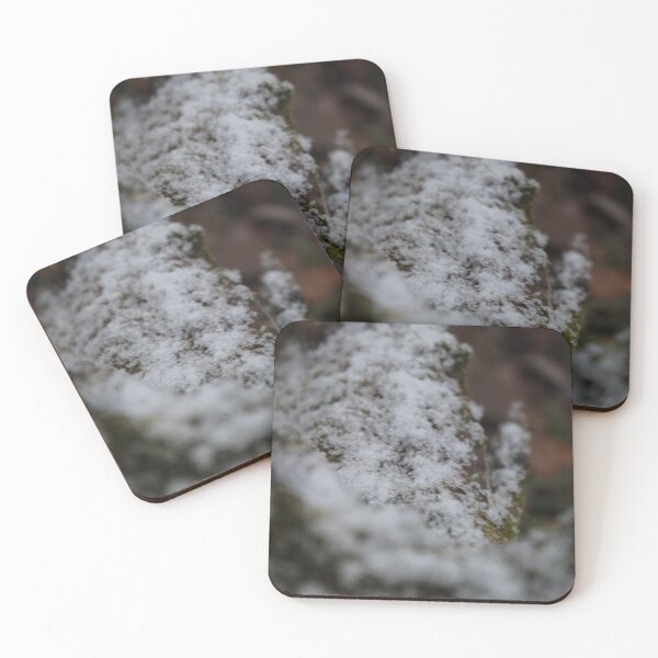 Item preview, A Light Dusting of Snow On Dead Branch designed and sold by PeppermintClove.