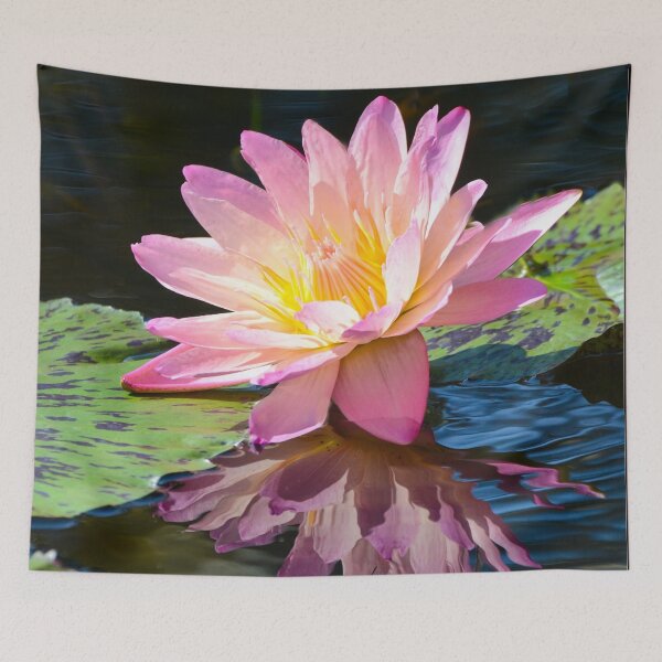 Item preview, Pink Flowering Waterlily  Reflection designed and sold by ginawaltersdorf.