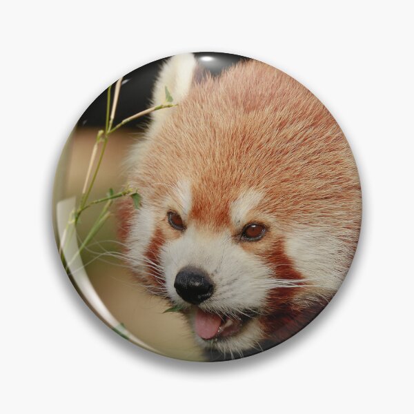 Item preview, Pandamonium designed and sold by miradorpictures.