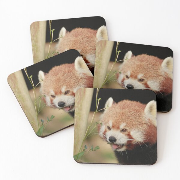 Item preview, Pandamonium designed and sold by miradorpictures.