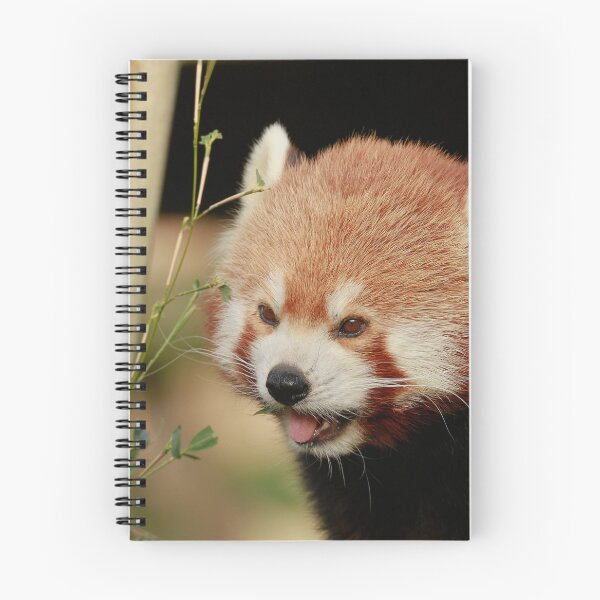 Item preview, Pandamonium designed and sold by miradorpictures.