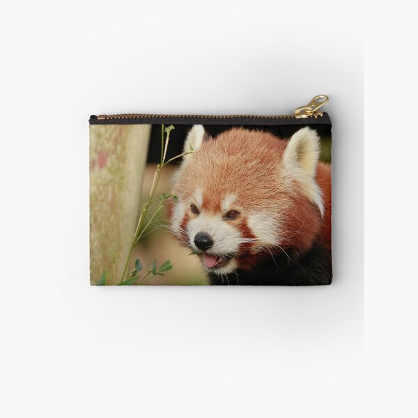 Item preview, Pandamonium designed and sold by miradorpictures.